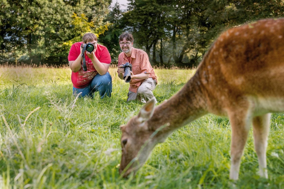 photographie animalière