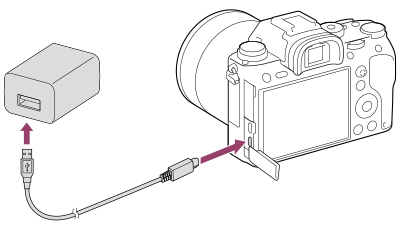 charge sony camera battery