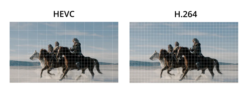 hevc vs avc