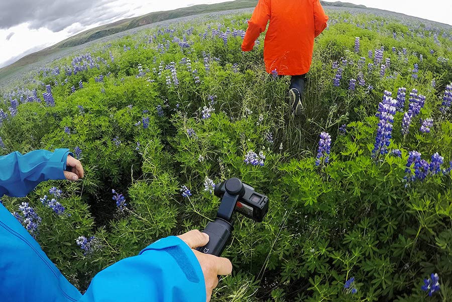 gopro grip travel