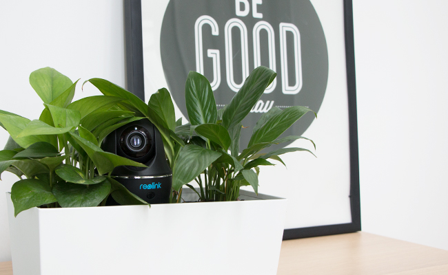 How To Hide a Camera in Plain Sight in Your House